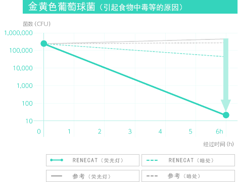 金黄色葡萄球菌（引起食物中毒等的原因）