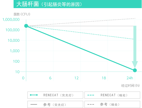 大肠杆菌（引起肠炎等的原因）