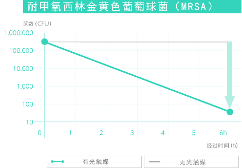 甲氧西林耐药性黄色葡萄球菌（MRSA）