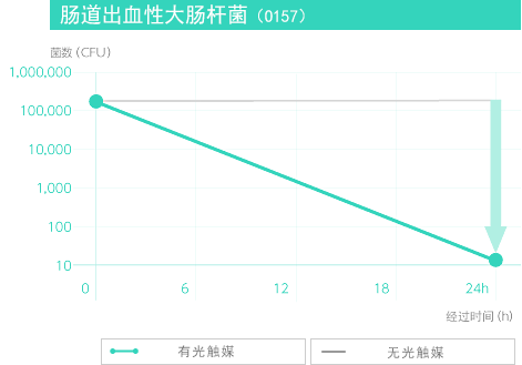肠道出血性大肠杆菌（O157）