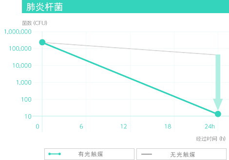 肺炎杆菌