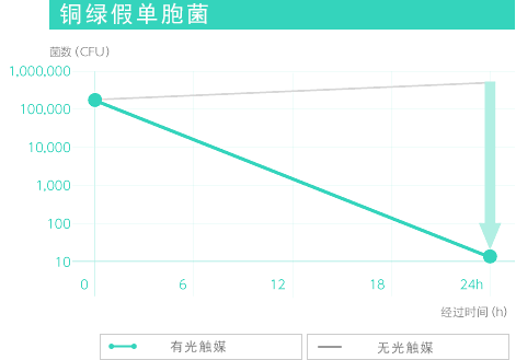 革兰氏阴性杆菌