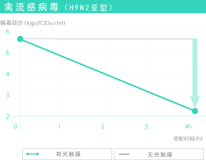 禽流感病毒（H9N2亚型）