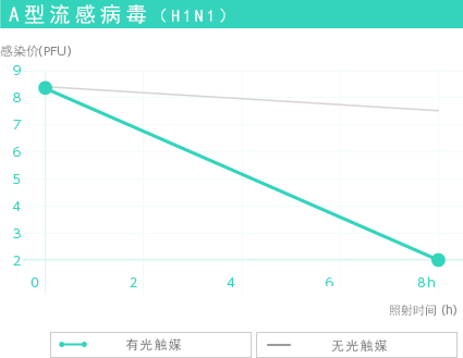 A型流感病毒（H1N1）