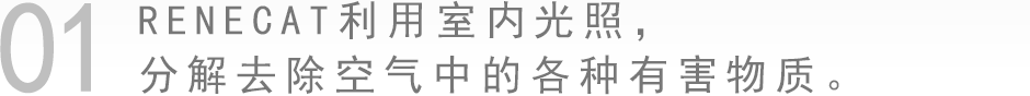 RENECAT利用室内光照，分解去除空气中的各种有害物质。