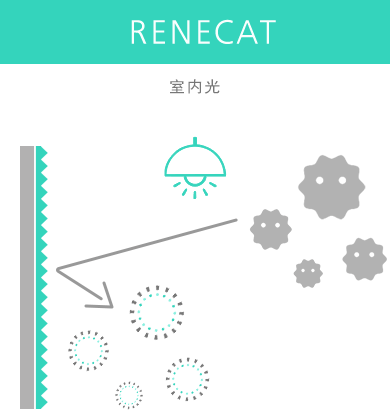 RENECAT 室内光