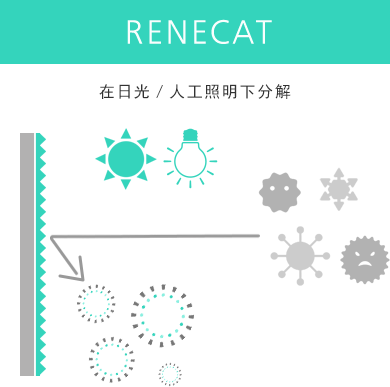 RENECAT 在日光／人工照明下分解